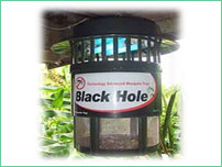 Black Hole