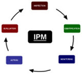 ipm
