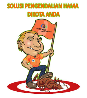 solusi hama