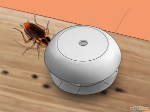 760px-Kill-German-Roaches-Step-10