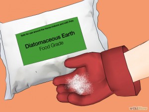 760px-Kill-German-Roaches-Step-12