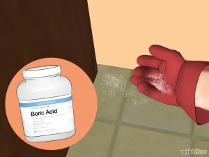 760px-Kill-German-Roaches-Step-8