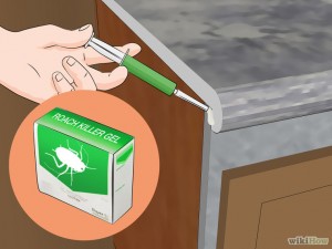 760px-Kill-German-Roaches-Step-9