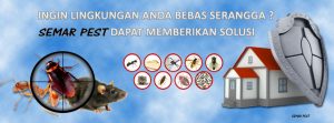 Pest Control Bali