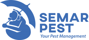 Semar Pest